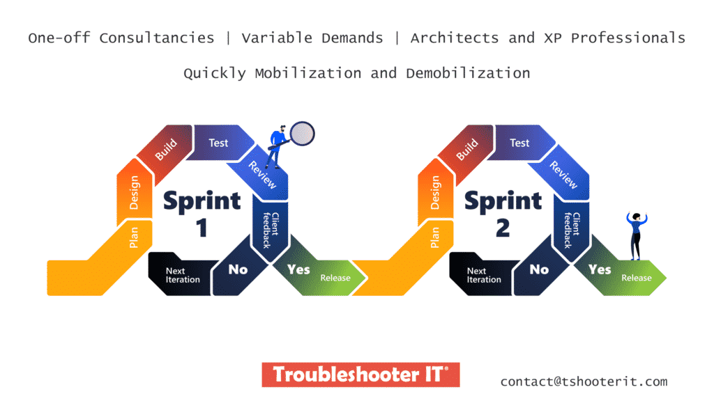 Agile projects that need these professional profiles for specific jobs and consultancies