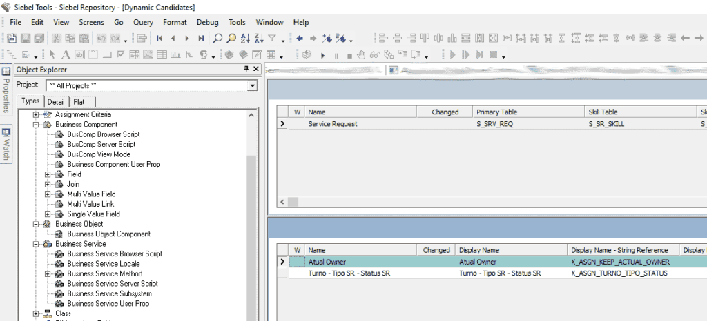 Assignment Dynamic Candidate
