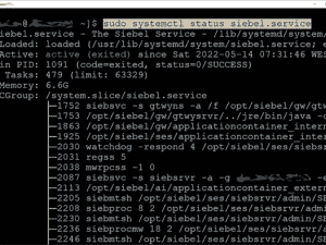 Siebel como Serviço Linux 3 Shell Scripts para Automatizar Systemctl