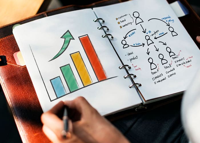 Gerente de Projetos